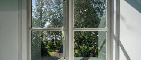 A window with a view of a forested area.
