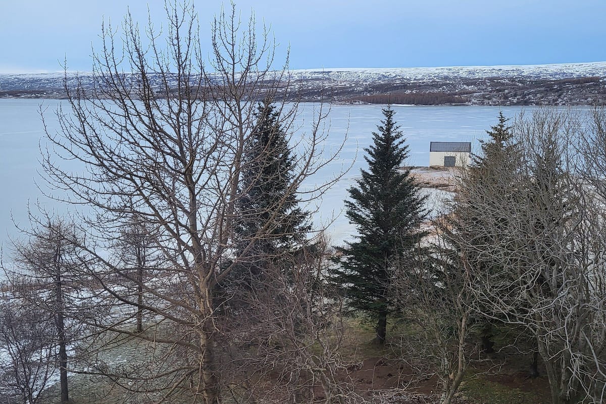 Vista dalla camera