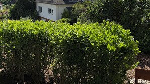 Una casa de techo inclinado, rodeada de abundante vegetación y un cielo azul despejado.
