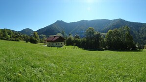 A rural house with a red roof, surrounded by a lush green field and mountains in the background.