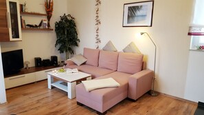 Televisión, reproductor de DVD, libros y estéreo 
