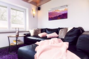 スマートテレビ、暖炉、DVD プレーヤー、書庫