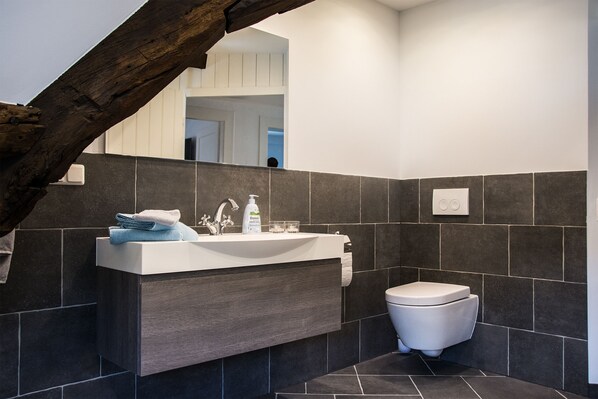 A modern bathroom with a dark tiled wall, a white sink with a mirror above it, and a white toilet. - House Wunschlos, here is the name of program (Monschau)