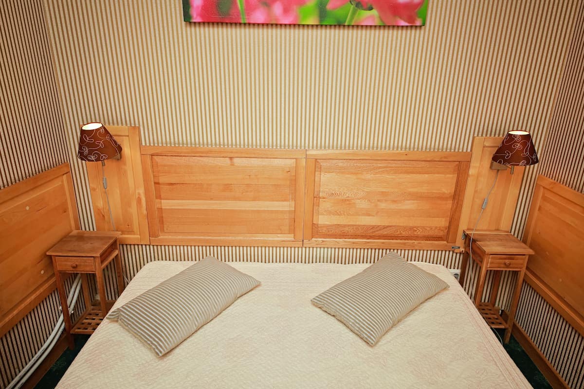 Habitación doble, baño privado | Tabla de planchar con plancha, wifi gratis, ropa de cama