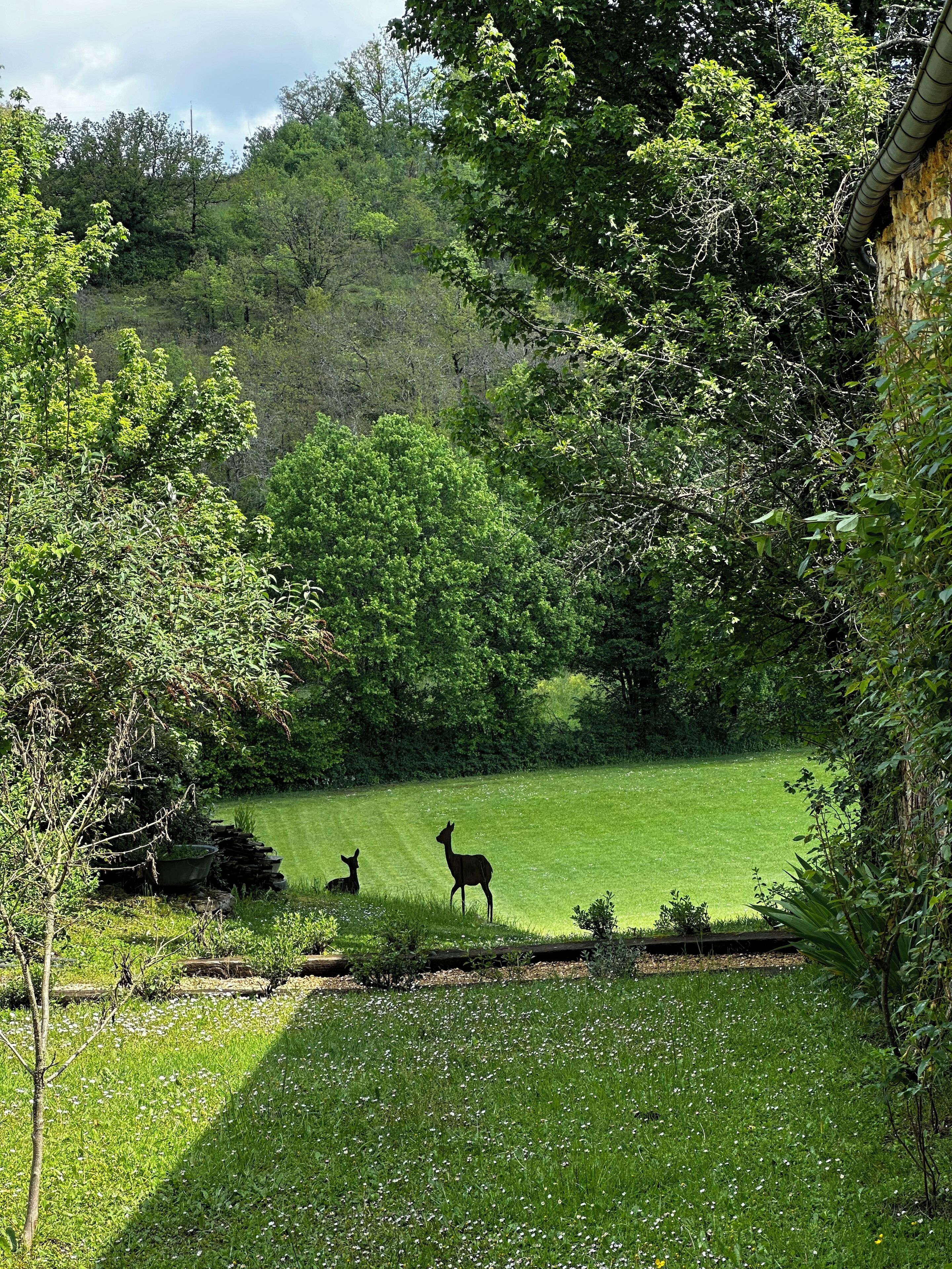 Eine Wiese mit zwei Hirschen, umgeben von dichtem Baumbestand und einer Steinmauer.