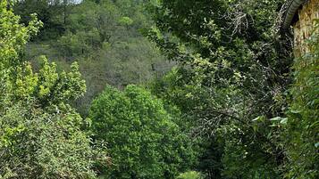 Eine Wiese mit zwei Hirschen, umgeben von dichtem Baumbestand und einer Steinmauer.