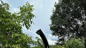 Property grounds - Le Vallonnet gîte (Le Vigan)