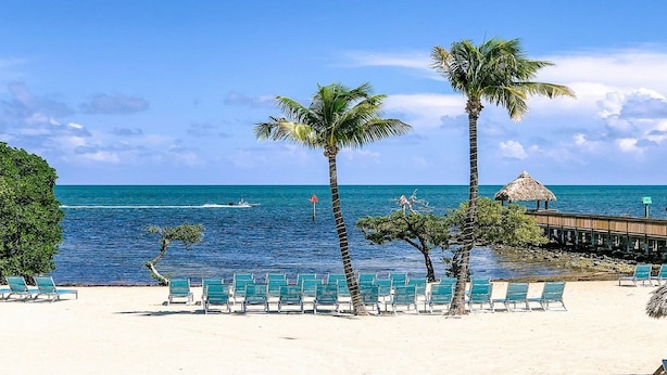 A beach with rows of green lounge chairs, palm trees, and a wooden pier with thatched roofs. - Oceanfront Key Largo Paradise - Private Beach + Pool, Hot Tub & Marina (Tavernier)