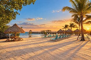 A beach with thatched umbrellas, lounge chairs, and a wooden table. - Oceanfront Key Largo Paradise-Private Beach+Pool/Jacuzzi/Bar +Pickleball+Marina (Tavernier)