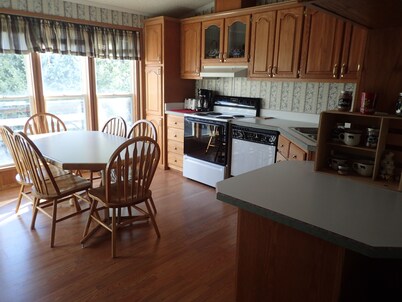 Escape to Black Bear Hollow~Secluded in a Beautiful Aspen Grove & Dog Friendly!