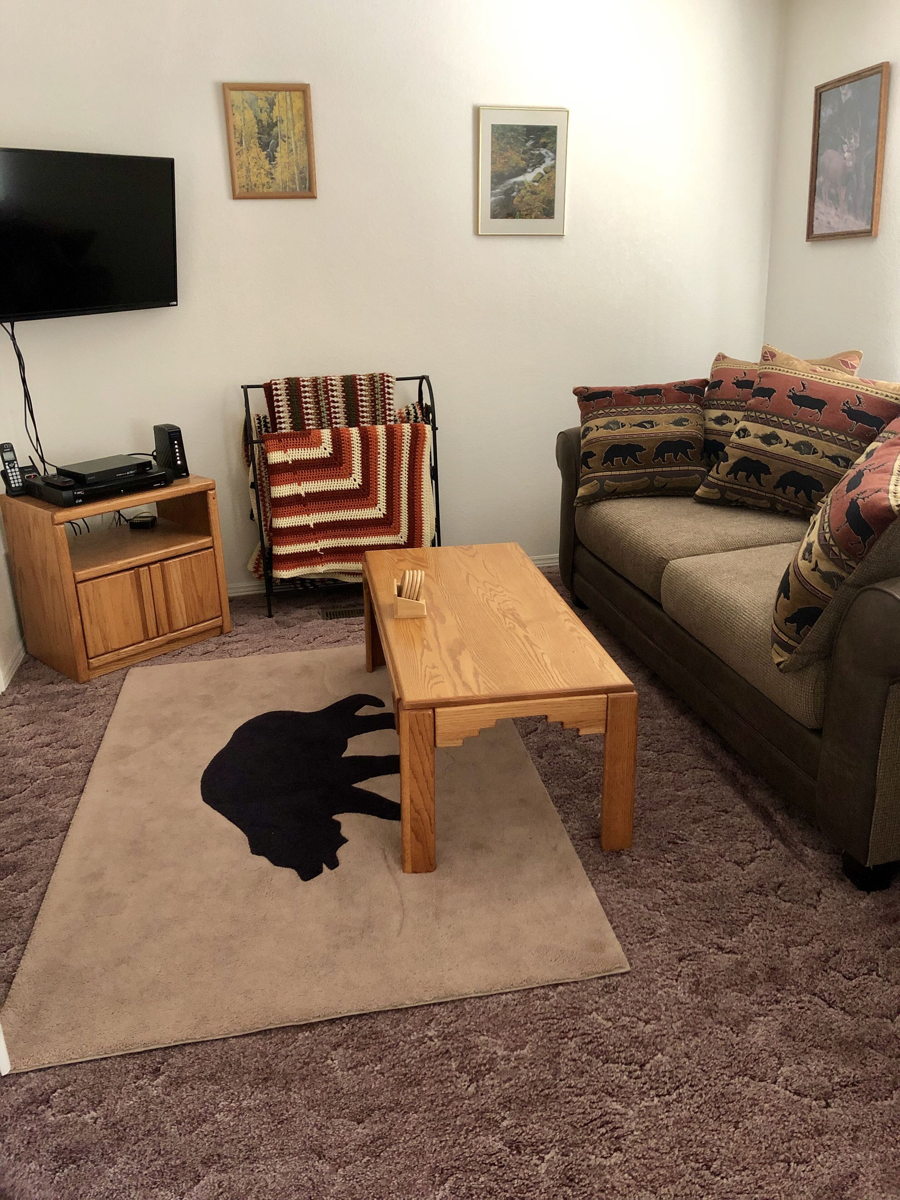 Smart TV, fireplace, books