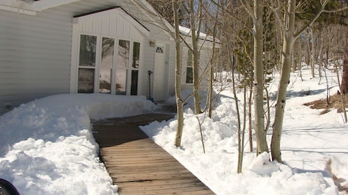 Escape to Black Bear Hollow~Secluded in a Beautiful Aspen Grove & Dog Friendly!