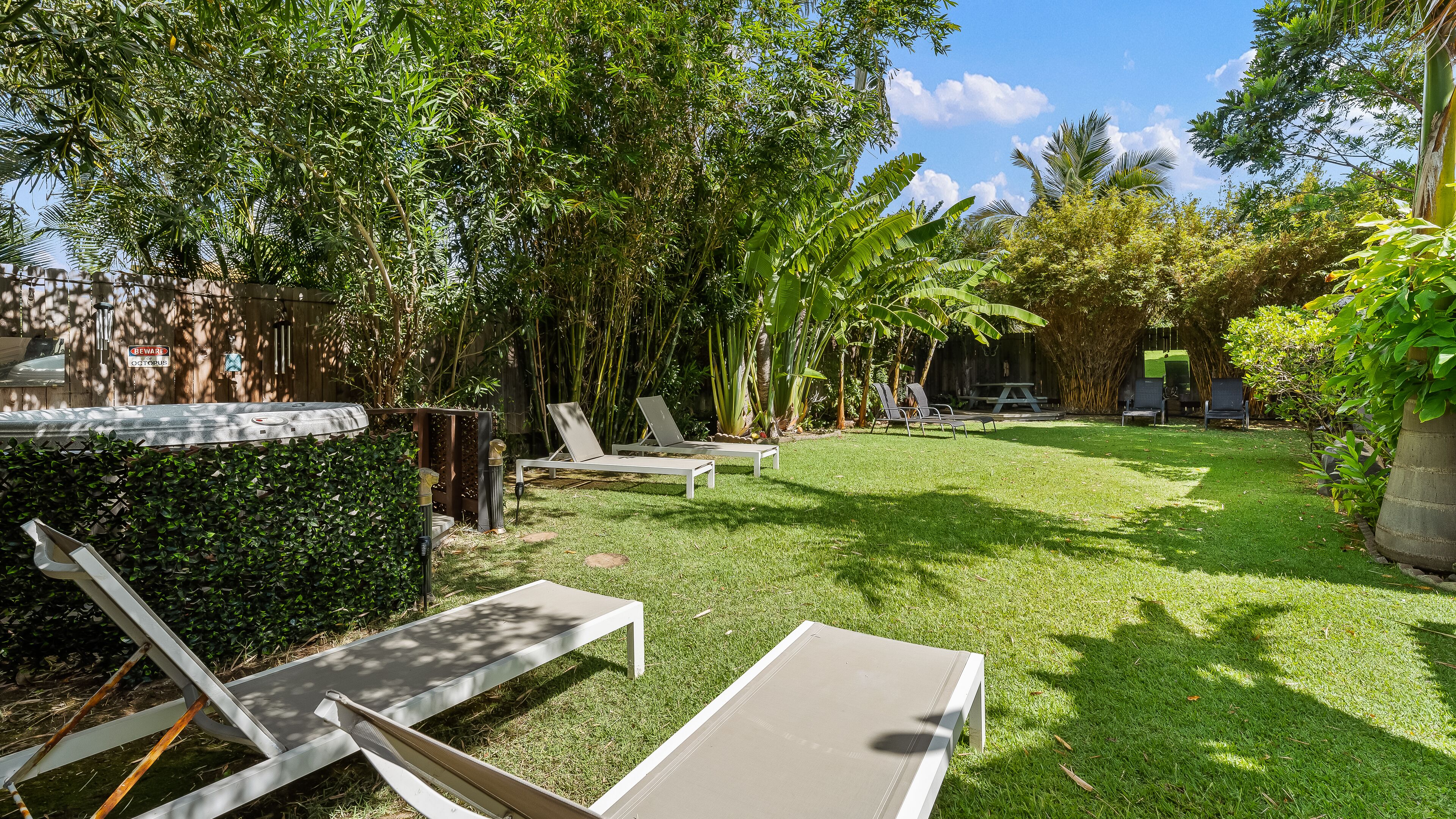 A backyard with a grassy lawn, a picnic table, and two lounge chairs.