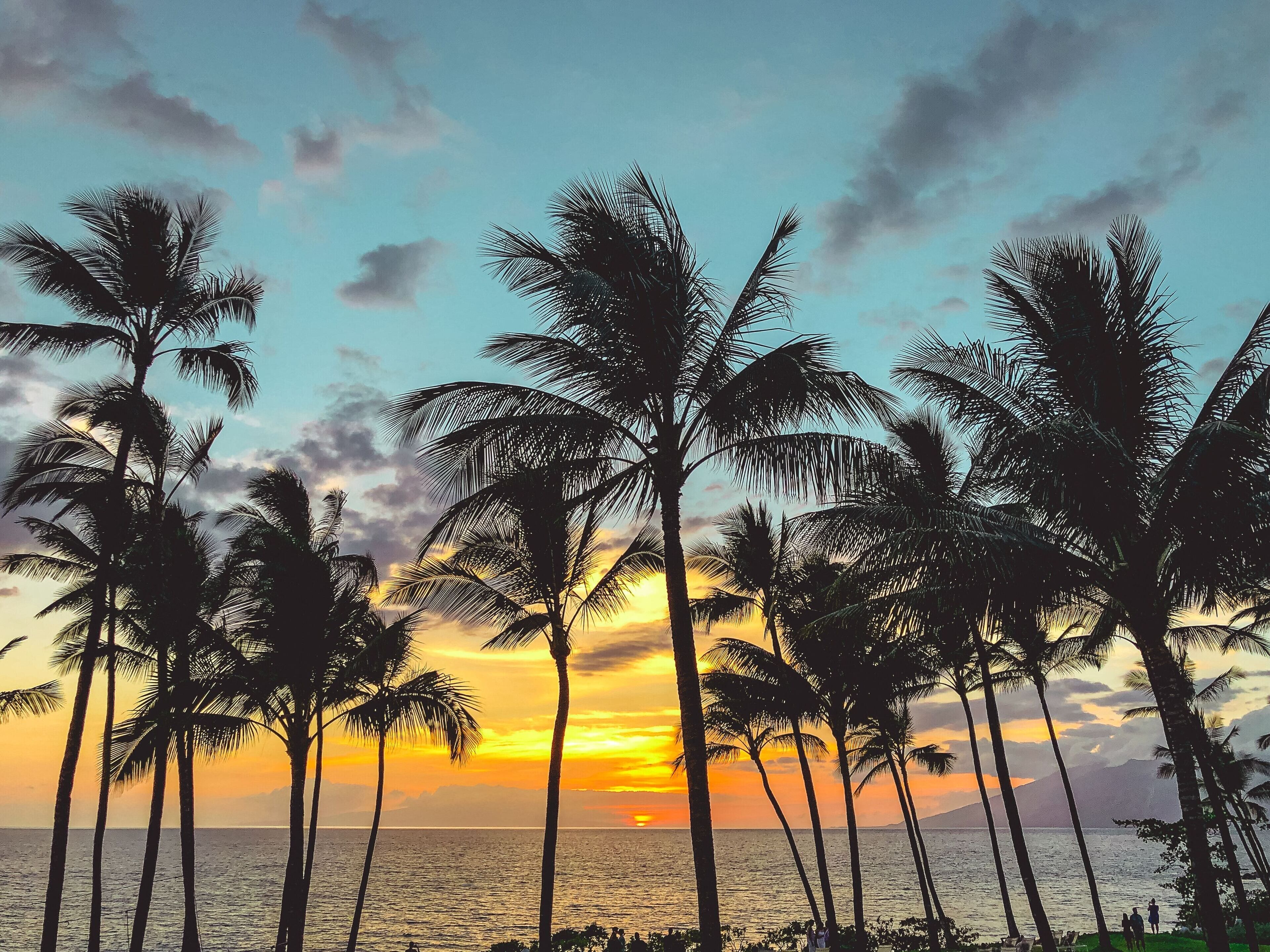 Vista al atardecer con palmeras y un mar tranquilo.