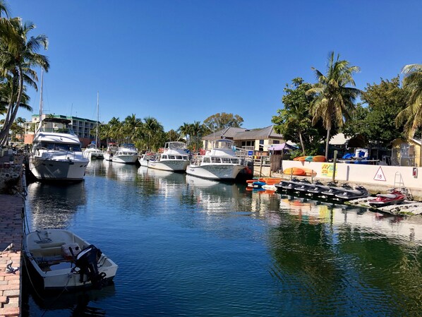 Marina
