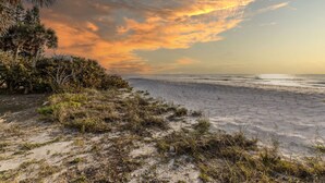 Ein Strand mit sandigem Ufer und vereinzelter Vegetation.