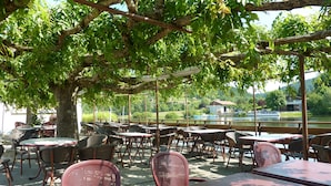 Een terras met tafels en stoelen onder een boomgewel, met uitzicht op een waterpartij en gebouwen in de verte.