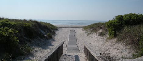 Nära stranden