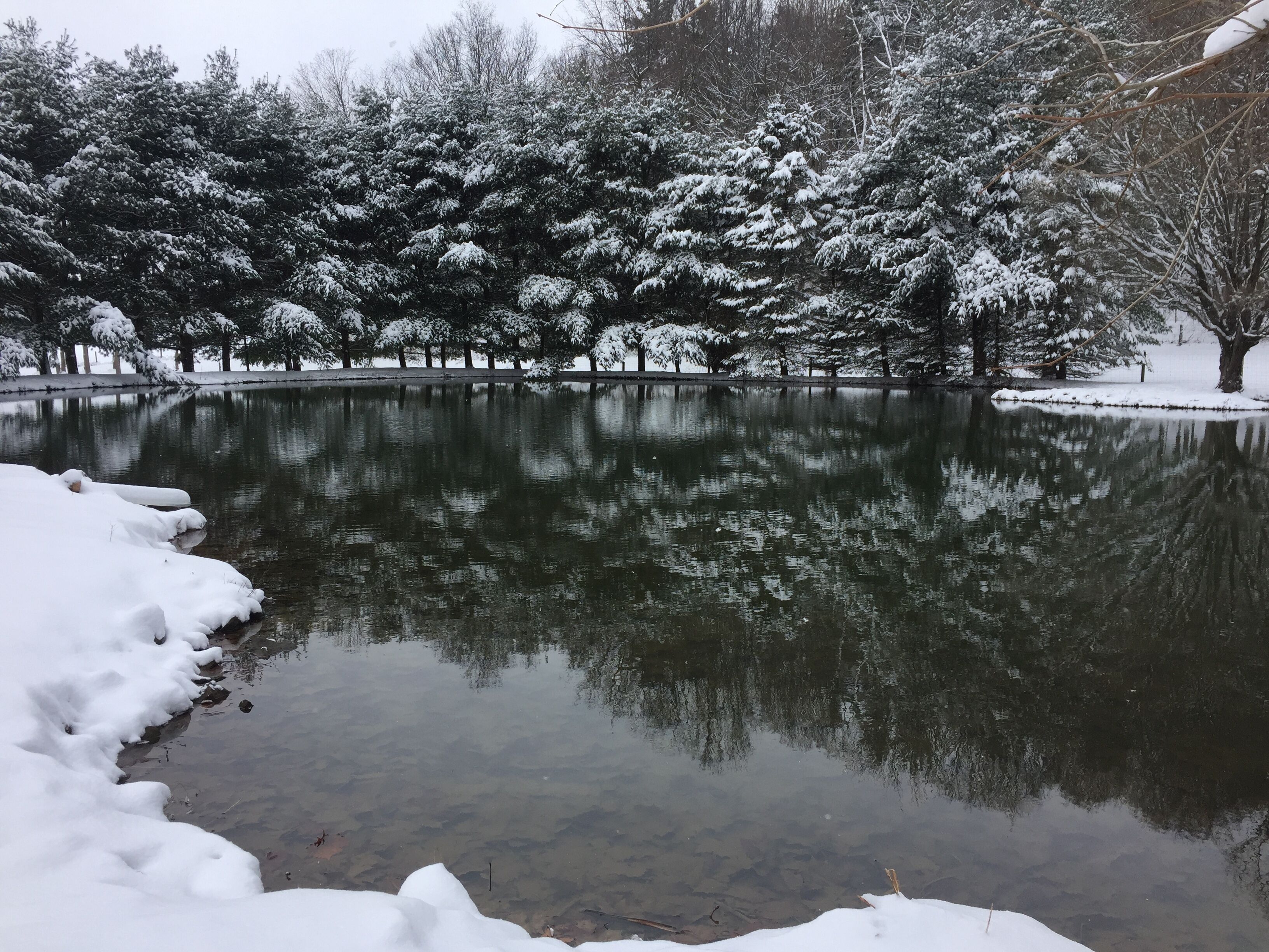 Un paysage enneigé avec un lac paisible qui reflète les arbres.