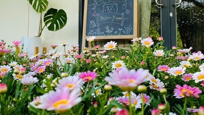Entrada de un edificio con una pizarra que muestra un horario, una planta en maceta y un cantero de flores al frente.