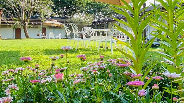 Un jardín con césped, sillas blancas y un edificio con techo marrón al fondo.