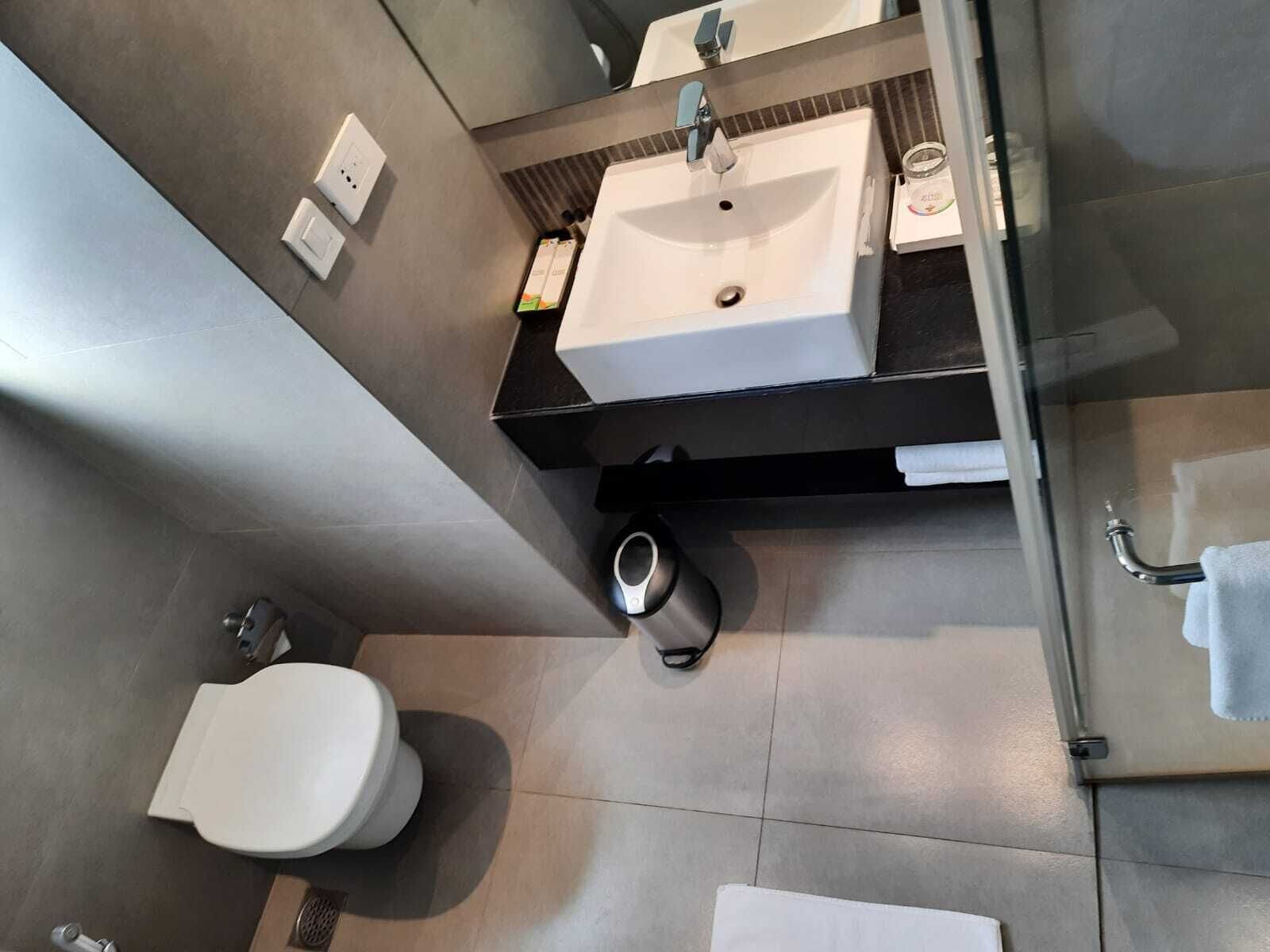 A modern bathroom with a white sink, a toilet, and a shower area.