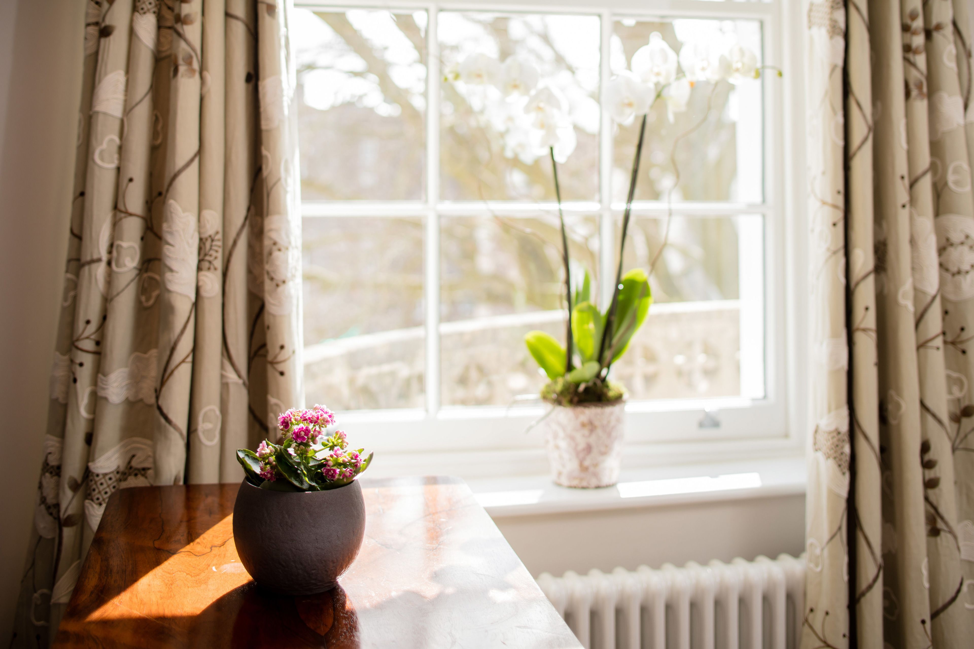 Estudio, 1 cama matrimonial | 1 habitación y ropa de cama hipoalergénica 