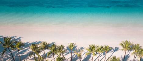 A beach with clear turquoise water and white sand, lined with palm trees.