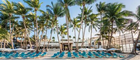 A beachside hotel with rows of sun loungers and palm trees.