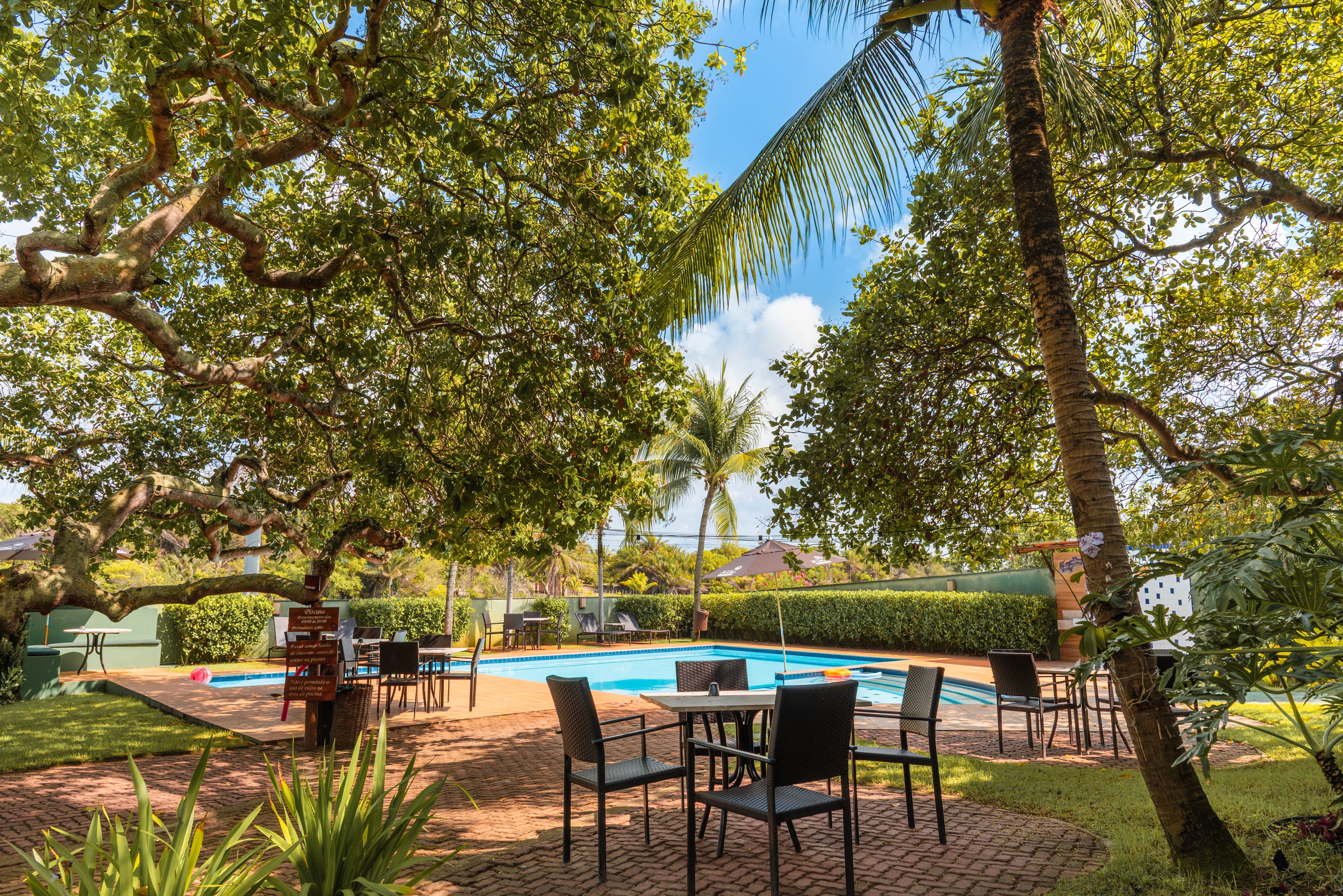Zona de piscina exterior con sillas y mesas, rodeada de árboles y un cielo despejado.