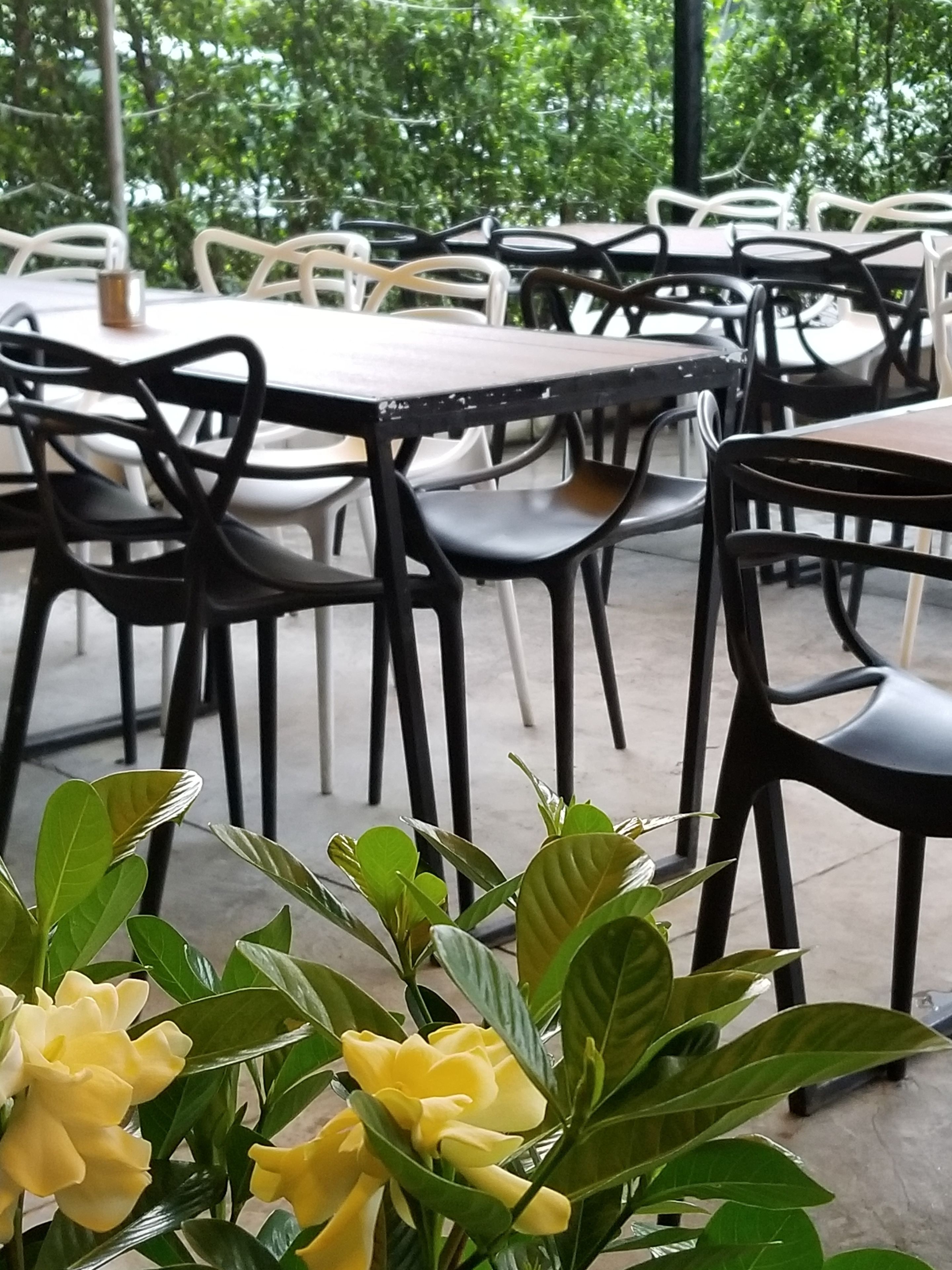 Un espace repas avec des tables et des chaises, entouré de verdure.
