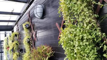 Una pared con varios maceteros colgantes y una lámpara de pared.
