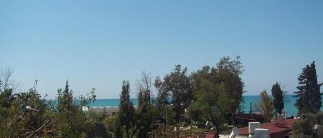 Altres