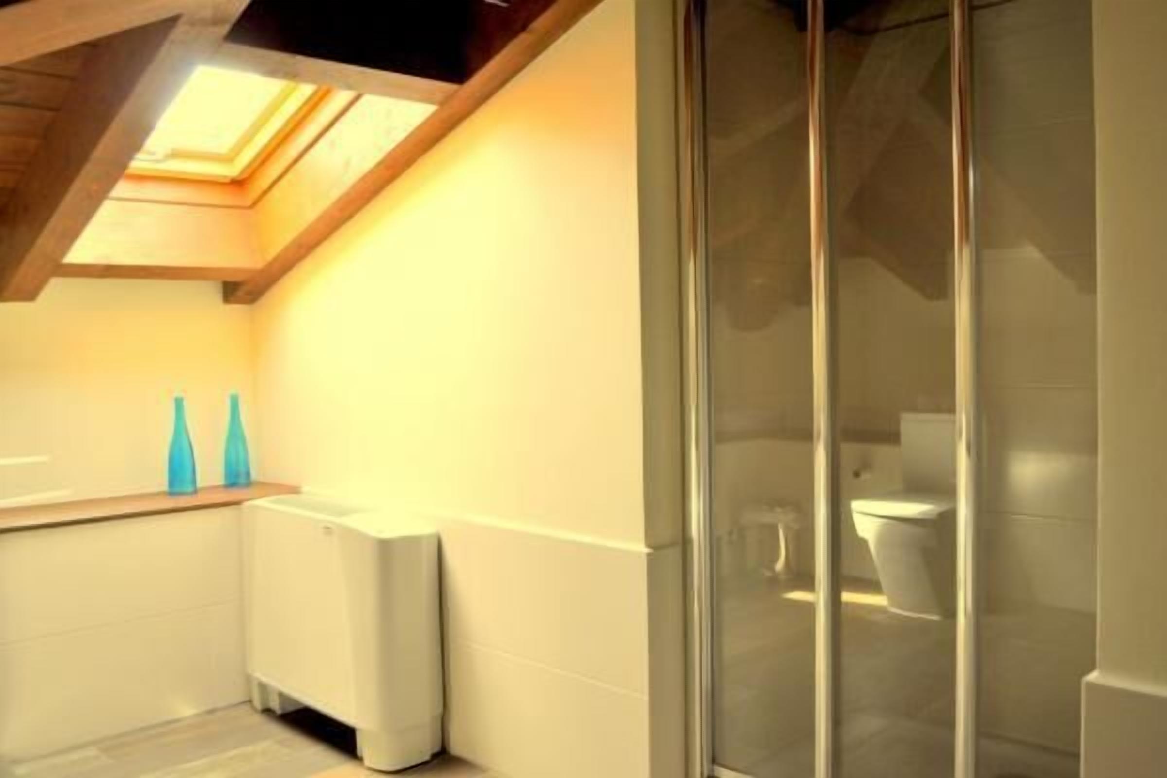 Un baño con tragaluz, cabina de ducha de vidrio y radiador blanco.