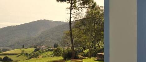 Instalaciones deportivas