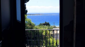 Vista desde la propiedad