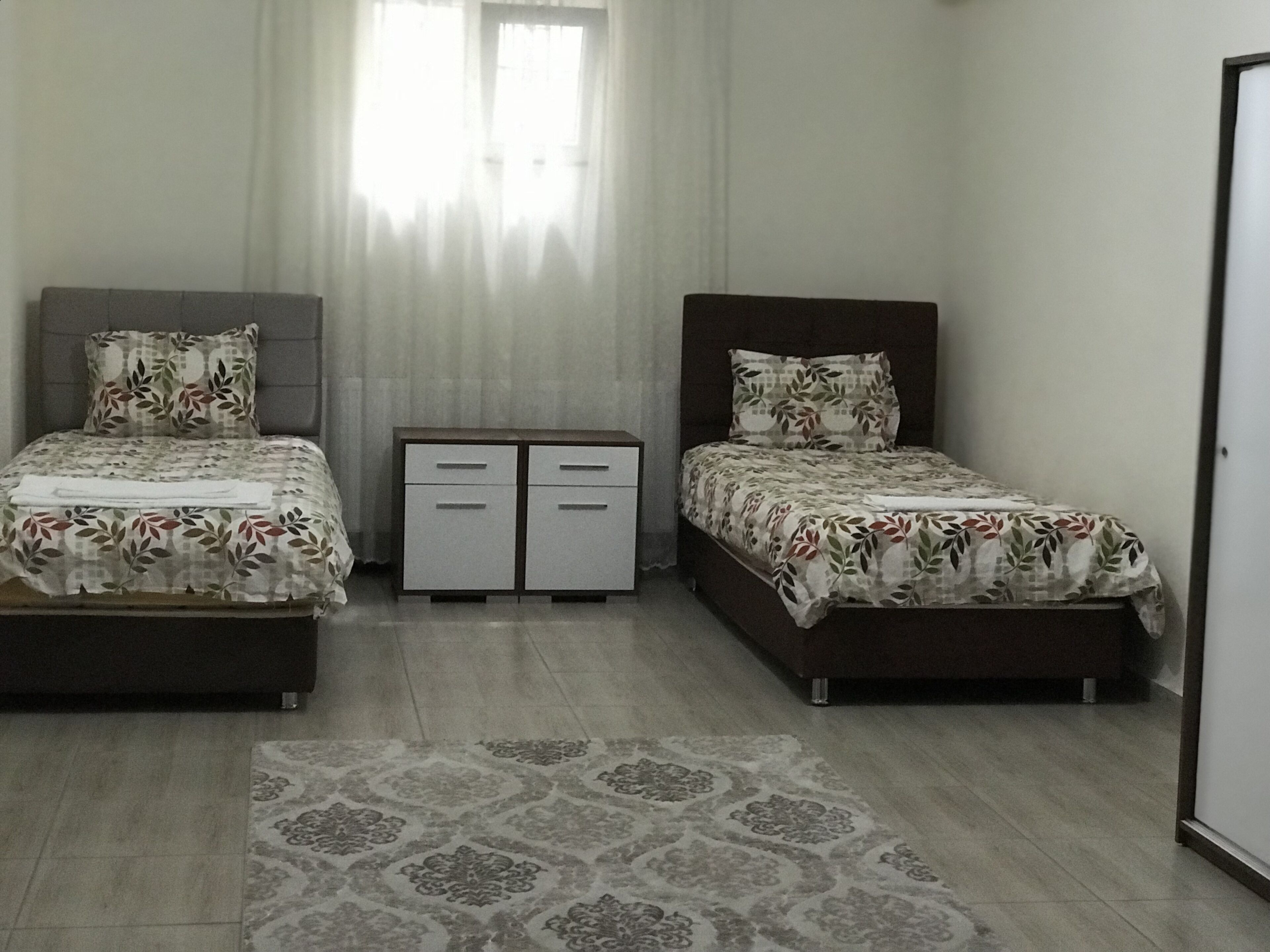 A bedroom with two beds, a nightstand, and a patterned rug.