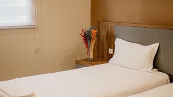 Habitación básica con 1 cama doble o 2 individuales | 1 dormitorio, ropa de cama de alta calidad, decoración individual