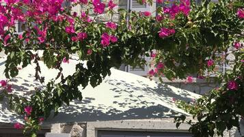 Ingresso della struttura