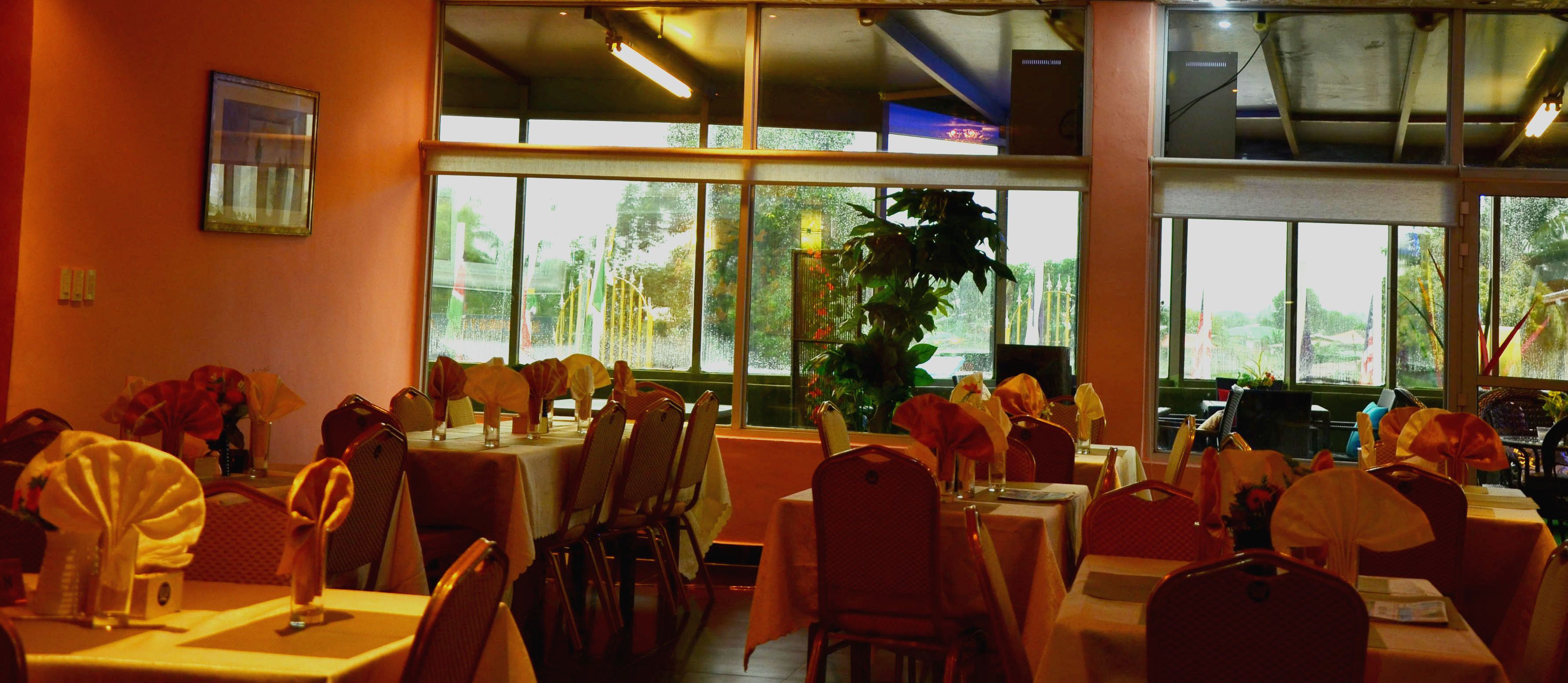 A restaurant with tables set for dining, large windows, and indoor plants.
