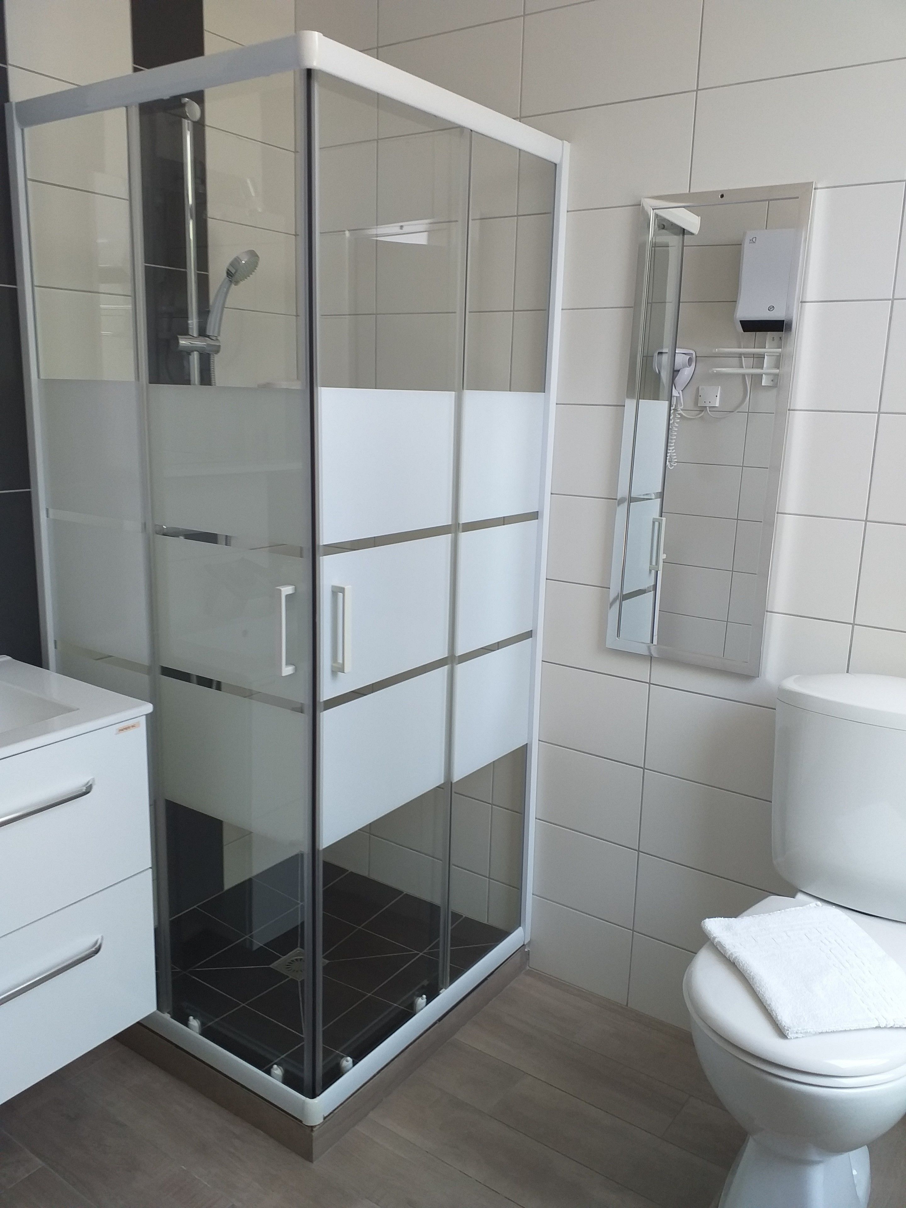 A modern bathroom with a glass-enclosed shower, a white toilet, and a mirror above the sink.