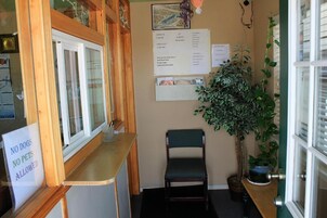 Un área de recepción con un mostrador de madera, una silla y una planta grande en maceta.