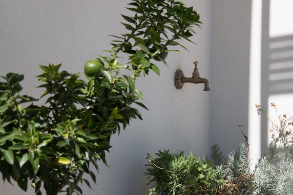 Dış mekân detayı