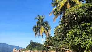 A tropical beach with clear water, large rocks, and palm trees. - Pousada Convés Ilha Grande (Angra dos Reis)