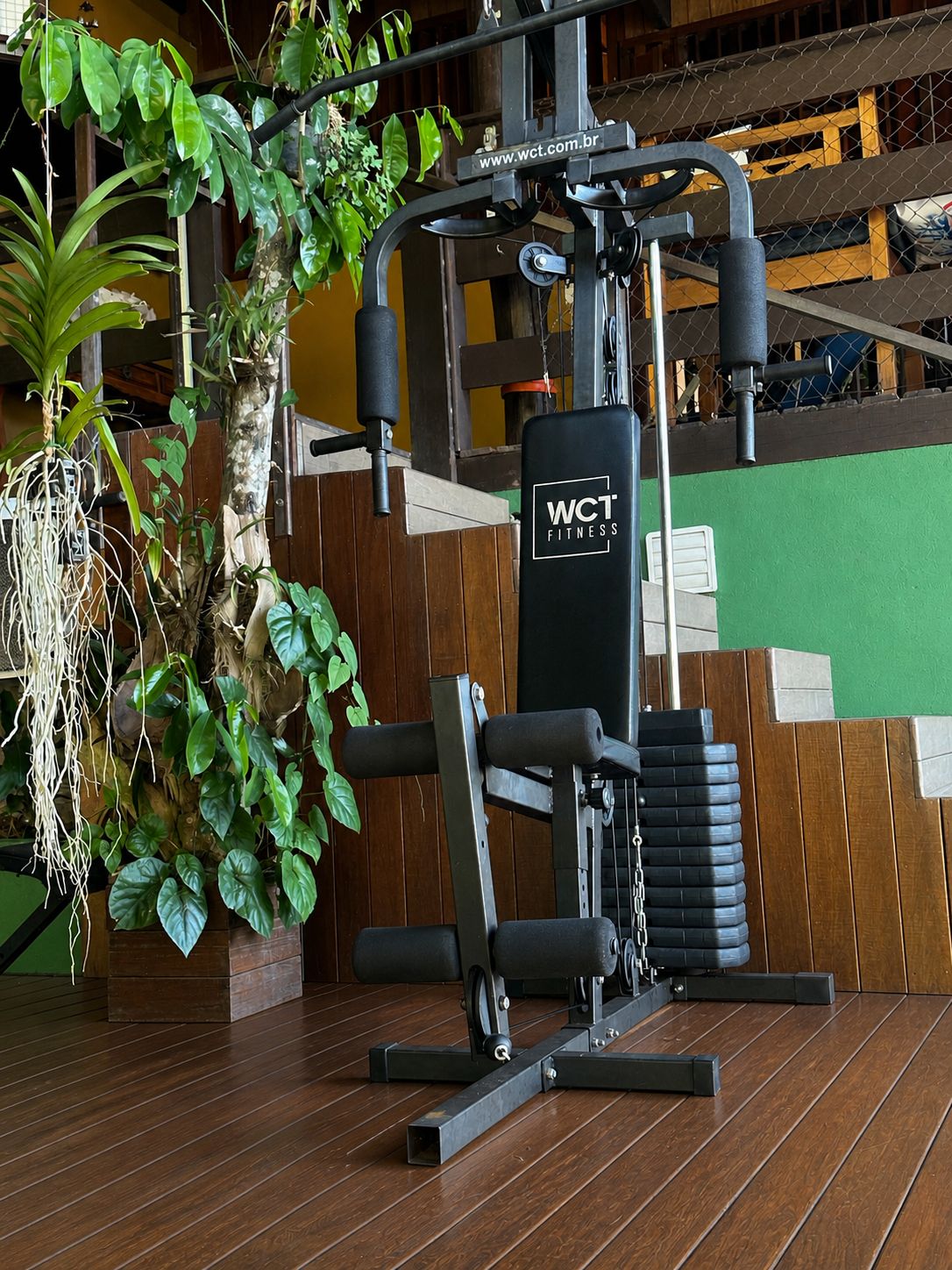 Uma academia com um banco de musculação, um saco de pancadas e diversas plantas.