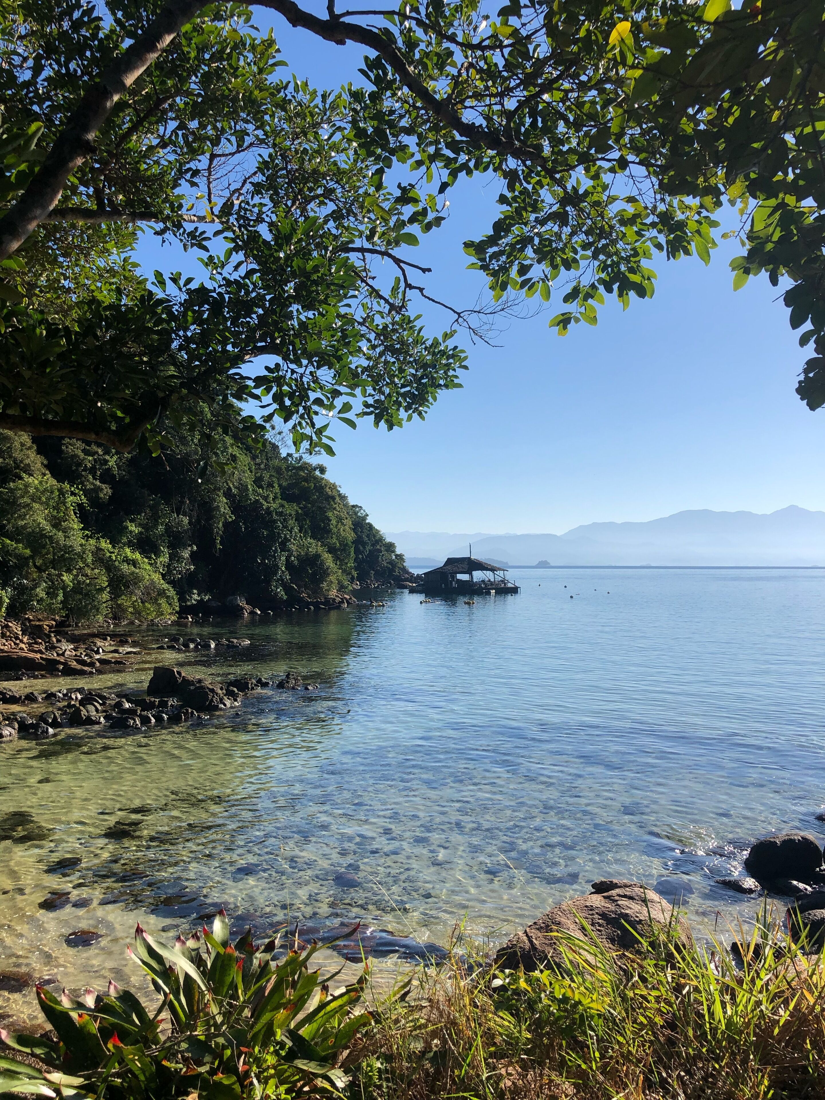 Una vista despejada de un lago tranquilo con una pequeña isla y una orilla rocosa.