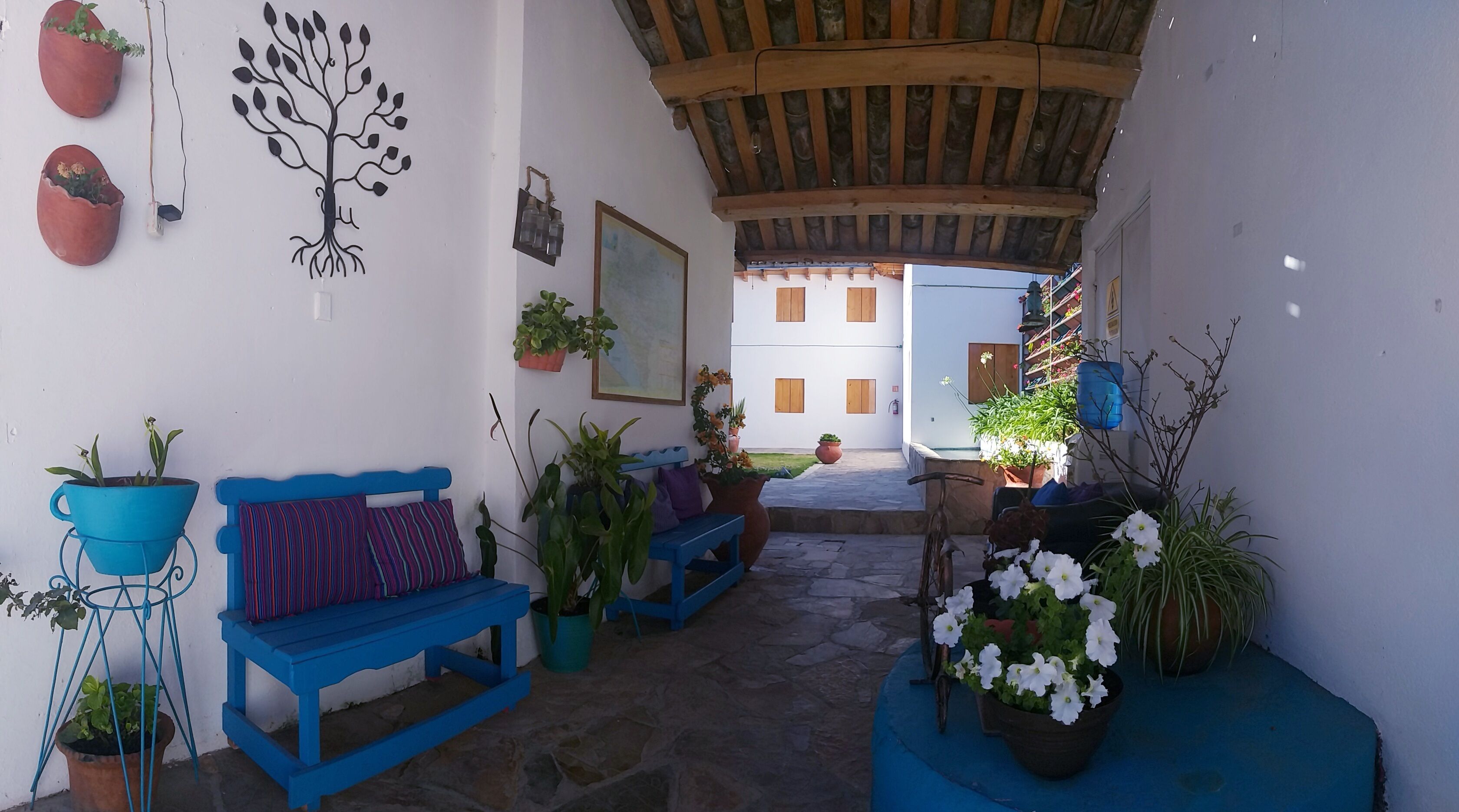 Un espacio al aire libre con techo, bancos azules y plantas en macetas.