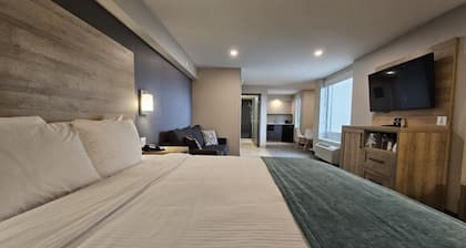 Vittoria Hotel and Suites