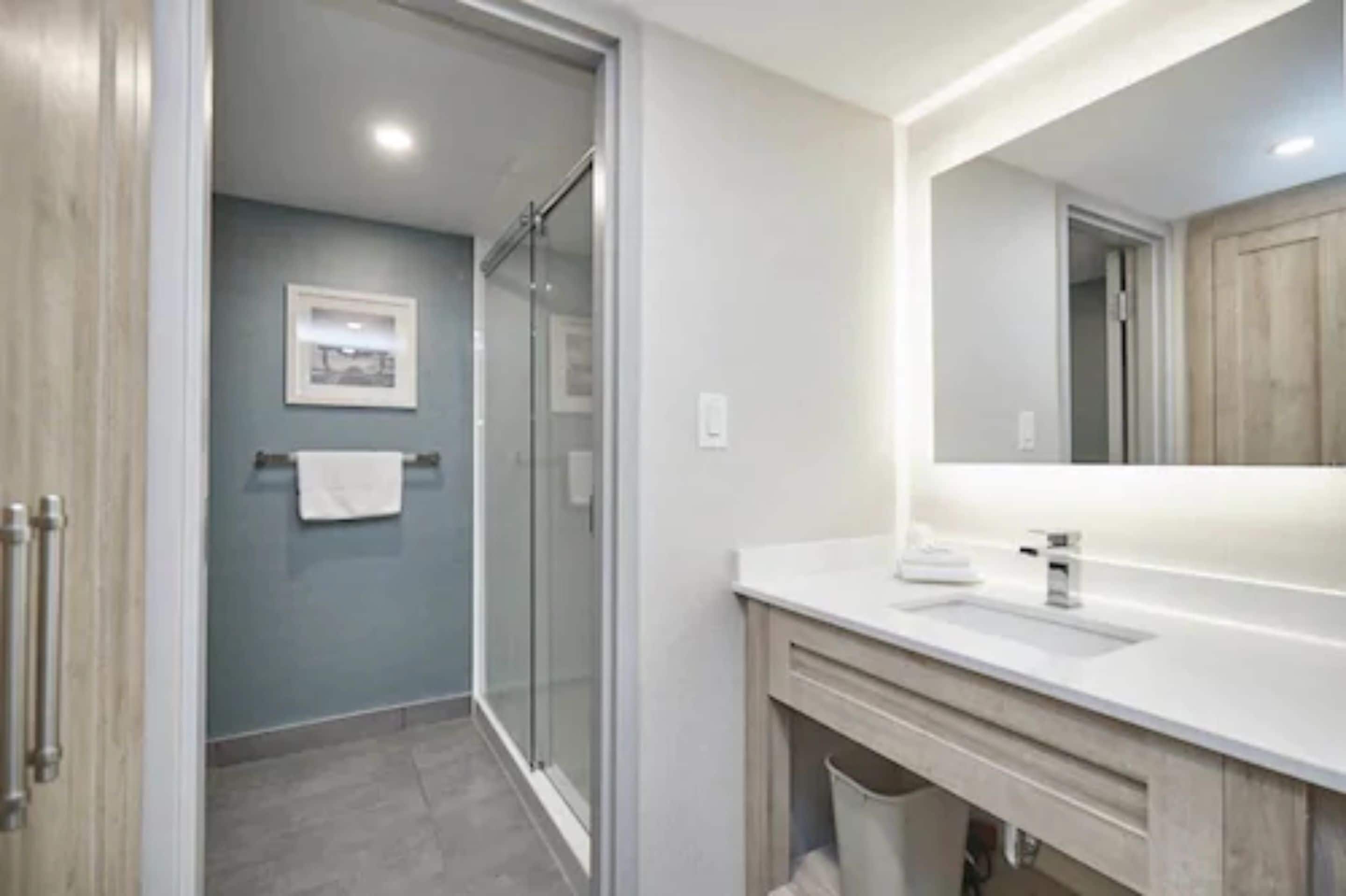 A modern bathroom with a glass shower, a large mirror, and a white vanity.