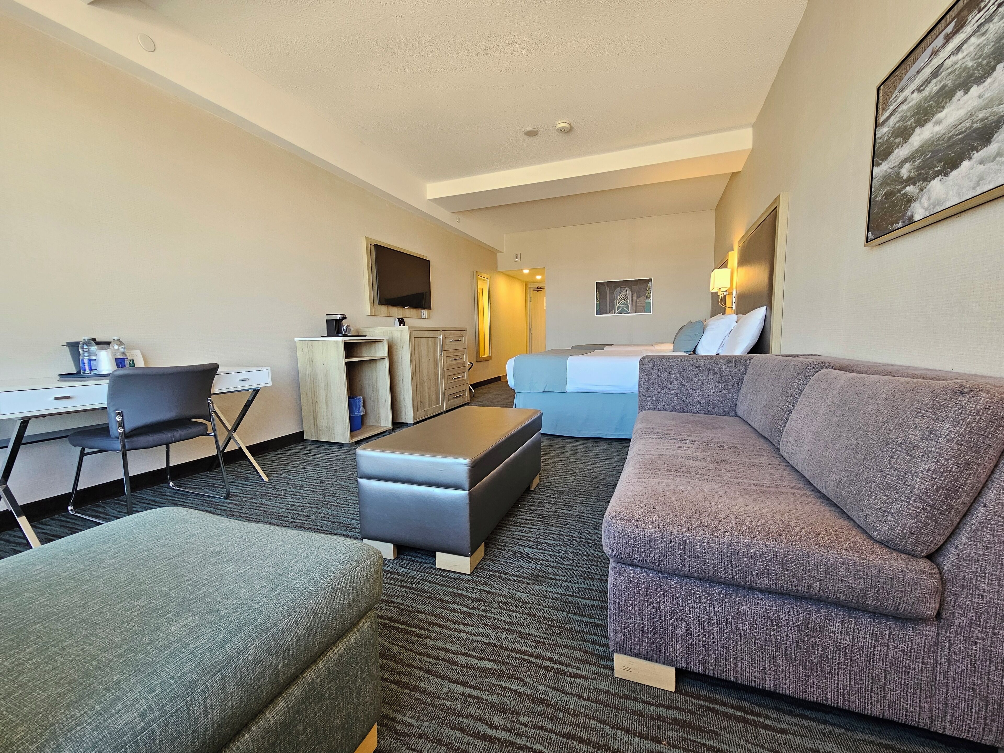 A hotel room with a sofa, a desk, a chair, a TV, and a bed.